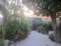 Greenhouse grows herbs and spices used in the dishes prepared on the property