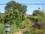 MayaCamas Garden, fresh produce for the Dining Hall