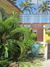 Terrace gardens at Manchebo Beach Resort and Spa