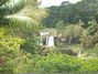 Big Island Waterfall near Hilo