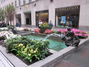Rockefeller Plaza, Spring flowers