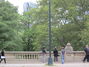 Central Park, skate park over look