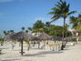 Beach palapas and chairs at Manchebo Beach Resort and Spa