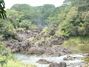 Hilo waterfalls
