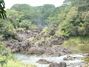 Hilo waterfalls